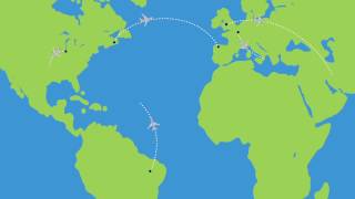 Damco Global Airfreight