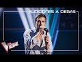 Álvaro De Luna canta 'La flaca' | Audiciones a ciegas | La Voz Antena 3 2019