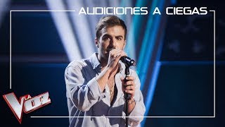Álvaro De Luna canta 'La flaca' | Audiciones a ciegas | La Voz Antena 3 2019