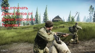 Как различать игрока от бота?Виды Диких в Escape from tarkov.