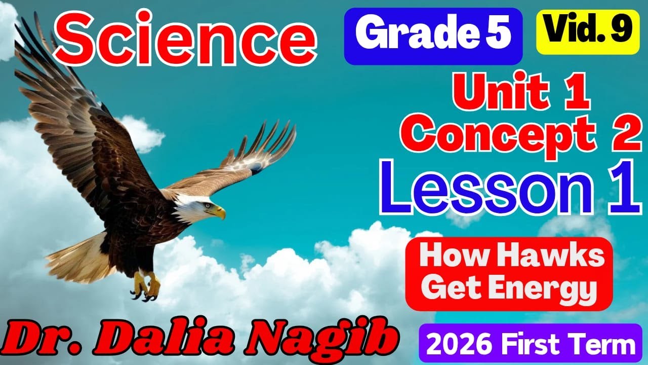 ساينس خامسة ابتدائى ترم اول 2026- 𝐒𝐜𝐢𝐞𝐧𝐜𝐞 𝐆𝐫𝐚𝐝𝐞 5 𝐂𝐨𝐧𝐜𝐞𝐩𝐭  2  𝐋𝐞𝐬𝐬𝐨𝐧 1