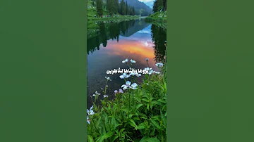 سورة الحجر القارئ عبدالرحمن مسعد Foryoupage Foryou القرآن الكريم القرآن Fyp Shorts Video 