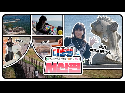 🦬🌊 충남 서산에 이런 자연이?! 초원·바다·철새까지 하루에 다 본 힐링 여행✨ㅣ대충행 17화