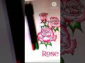 Rose drawing||easy rose drawing||flower drawing#rose day# youtube shorts#viral
