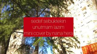 sedef sebüktekin - unutmam lazım (mini cover by nana hera) Resimi