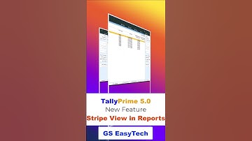 Tally Prime 5.0 new feature stripe view #tallyprimetipsandtricks #tallysolution #tallyprime #tallypr