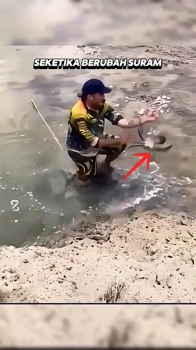 sial bagi orang ini saat tangan nya di capit kepiting berukuran besar