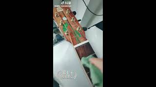 Shang - a beautiful accoustic guitar to be addicted to.