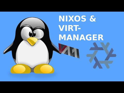 NixOS + Virt-Manager + Windows 11 = easy?