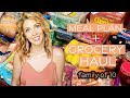 MEAL PLAN (2 Full Weeks) + HUGE Grocery Haul // Costco + Publix