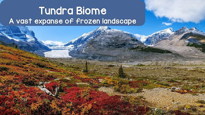 Unveiling the Tundra Biome: Life on the Edge of Survival