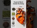 4 Seeds That Repair Your Heart Naturally | Food at Work Inside the Body