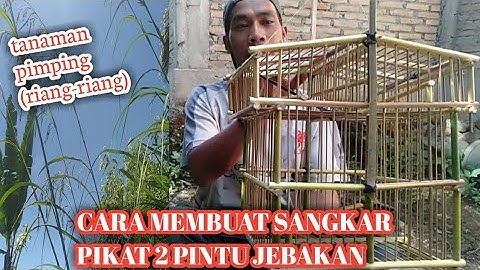 Tutorial Sangkar Pikat/Jebakan Dari Tumbuhan Pimping..