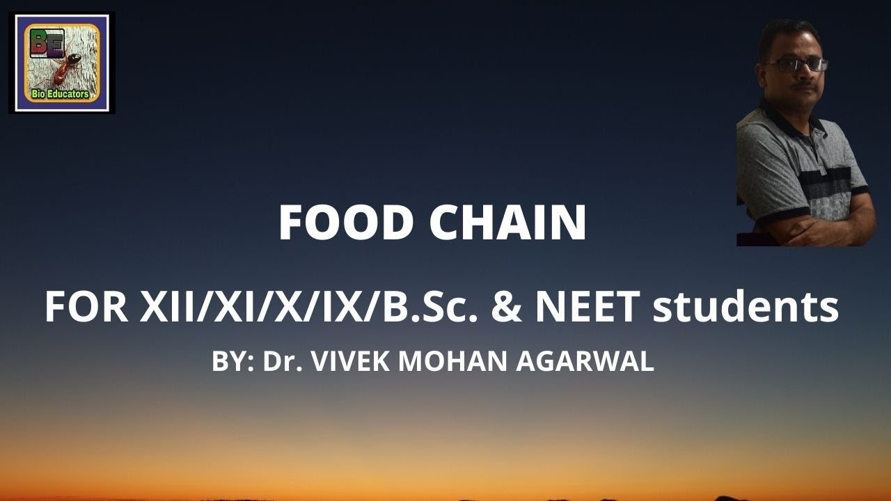 FOOD CHAIN (खाद्य श्रंखला)