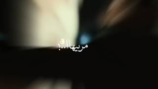 افجره حالات واتس مهرجان كلبي انا صلطان بطل هيرو حلقولو ومودي امين مهرجان لسه منزلش جمد اوى 😆🤩