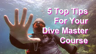 5 Top Tips To Get The Most From Your Dive Master Course
