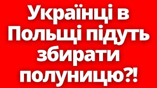 Українці Підуть Працювати На Поля В Польщі?! Списки Фермерів, Які Блокують Кордон! 22.04.2024