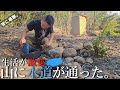 山を開拓して1年、ついに水道を引くことができました。