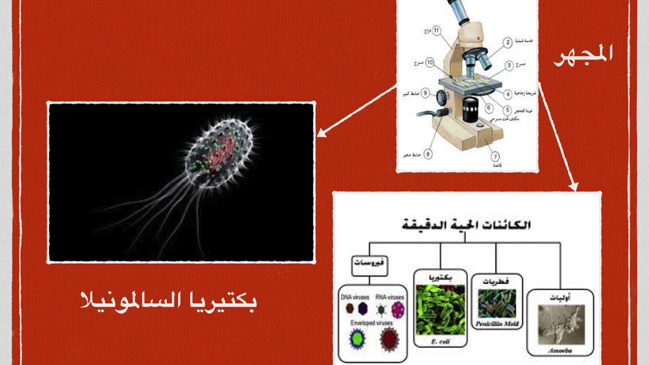 عملية تستخدم لاستقصاء العالم من حولك .........................