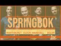 Springbok matthieu marthouret quartet  dw studio footage