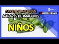 Aprender Alemán A Través De Imágenes |Vocabulario Alemán Niños | Golearn