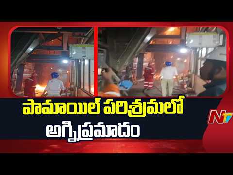 Nellore: నెల్లూరు జిల్లాలో పామాయిల్ ఫ్యాక్టరీలో అగ్నిప్రమాదం | NTV Telugu - NTVTELUGU