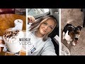 WEEKLY VLOG | COFFEE DATES | SHOPPING & TAKEOUT