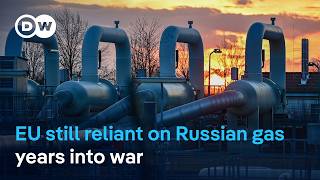 Where will the EU get its gas and LNG when it stops relying on Russian supplies? | DW News