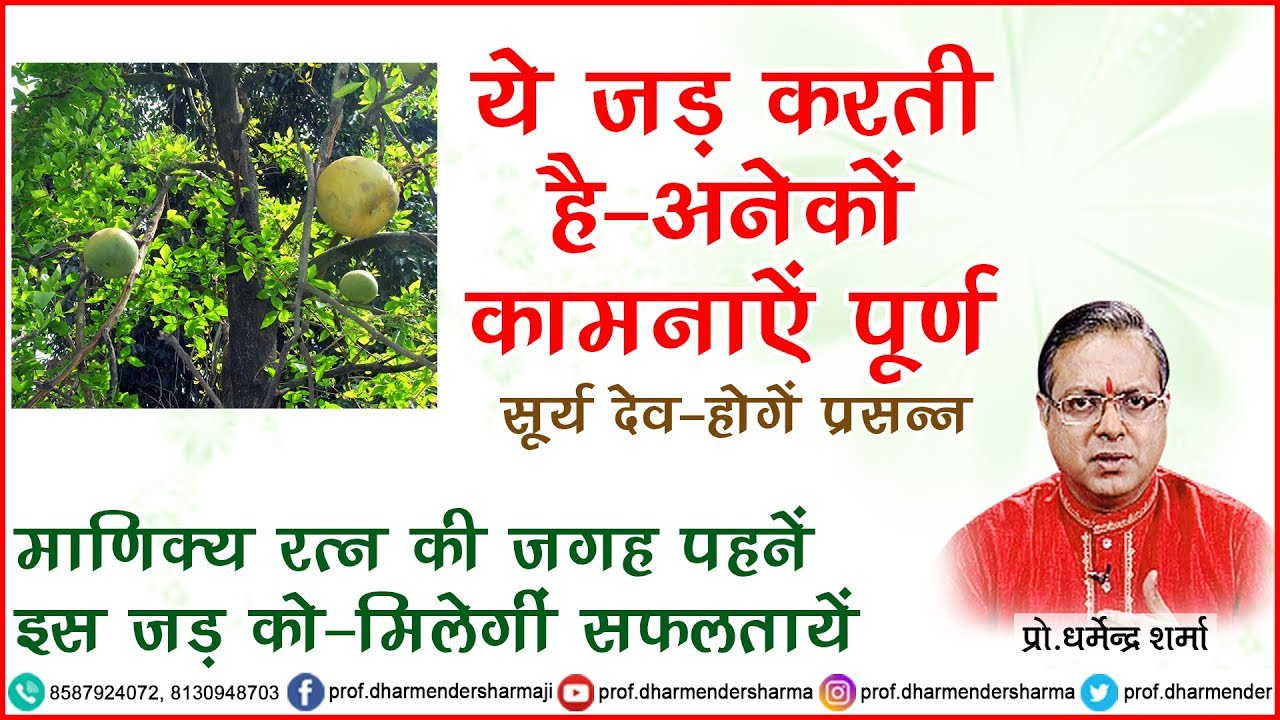 अनेकों सफलताये देगा ये अचूक उपाय - प्रो.धर्मेन्द्र शर्मा जी