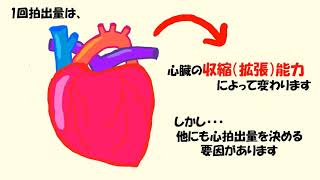 C3前負荷と後負荷　改訂2版（音声あり）