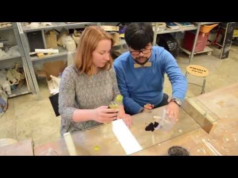 Video: Stuiterende Kikker Met Magneet