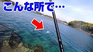 【釣りYoutuberの2泊3日間#3】思いもしなかった【高級魚】が釣れた！