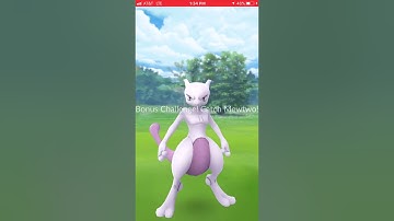 Pokémon Go : Mewtwo EX Raid