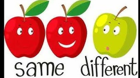 Same And Different Concept For Preschool | Teach Same Or Different | How To Learn The Concepts