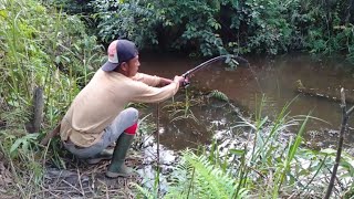 TANGAN SAMPAI GEMETAR MANCING IKAN MONSTER DI RAWA INI MAS BRO..