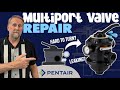 How to REPAIR and Service Your PENTAIR Multiport Valve!