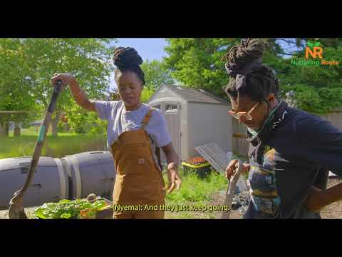 Nurturing Roots At Home: Making a  Worm Bin