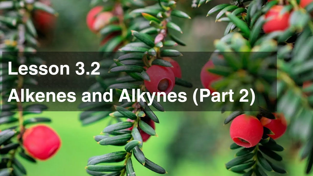 Lesson 3.2 Alkenes and Alkynes (Part 2)
