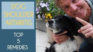 Dog Shoulder Arthritis: 5 Effective Remedies