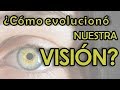 ¿Cómo evolucionó nuestra visión?