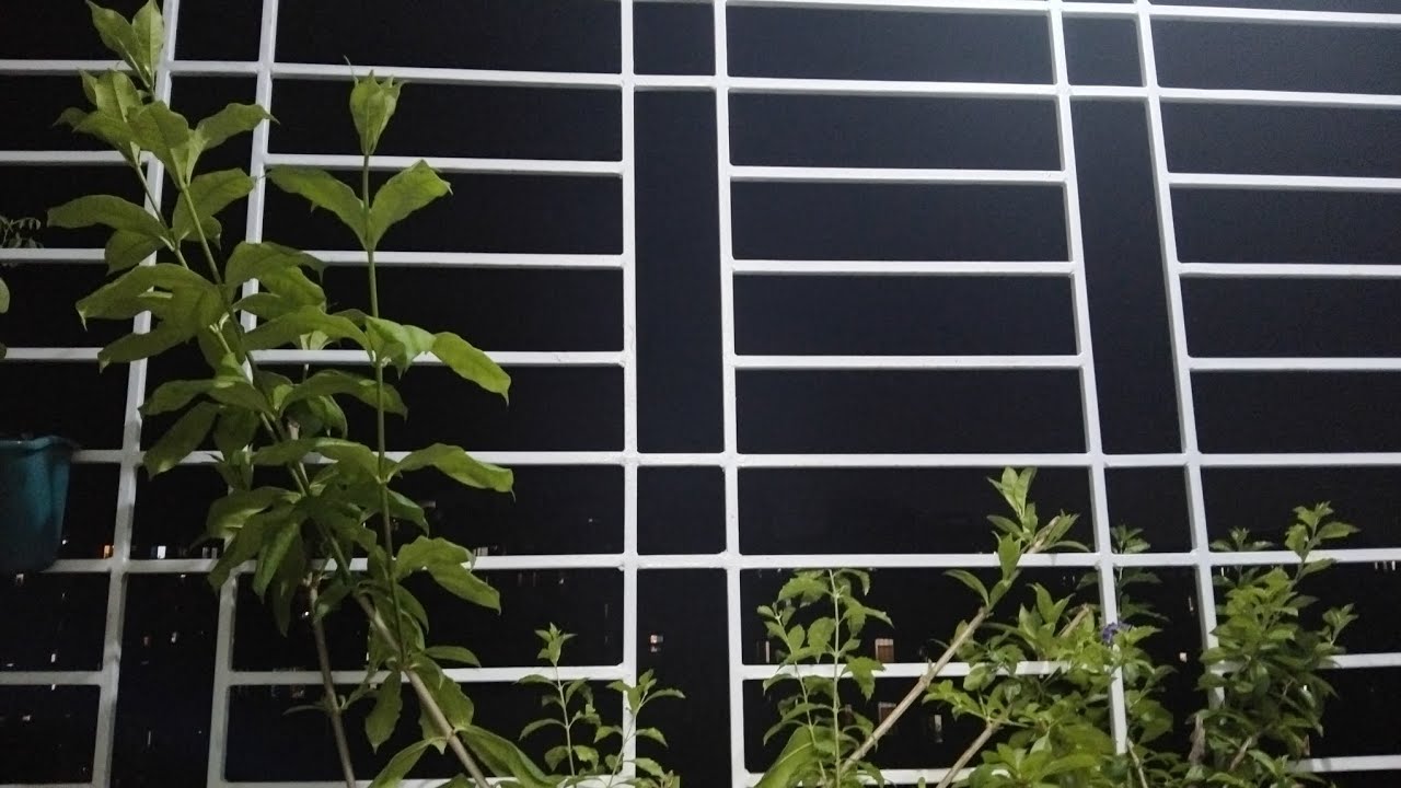 Practice Slow and Simple English Speaking with me. Balcony at my new residence 