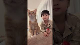 Lewen和收养的流浪猫Lulu相处超好！放学后一起玩太有爱Lewen Gets Along So Well with Rescued Stray Cat Lulu! After-School