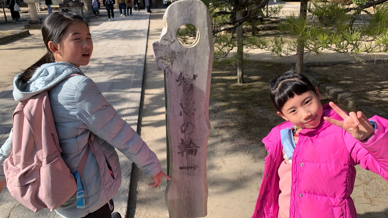 20260223 大阪自由行 Day4 伊根舟屋｜天橋立餵海鷗超好玩｜智恩寺｜福太郎