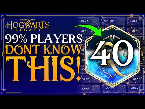 Hogwarts Legacy hits 800,000 players as it snags all four Top Seller