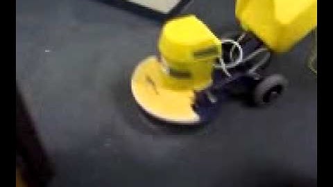 Carpet Cleaning and Traffic Lane with Releasit and Cimex Cyclone