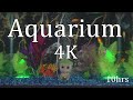 Aquarium in 4K "Sleep Sounds"