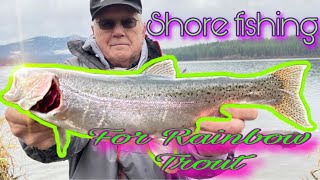 Tips and tricks for catching tons of trout from shore.
