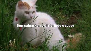 Enas Toúrkos Sto Parísi - Paris'te Bir Türk (Türkçe Çeviri) ~𝐘𝐢𝐦