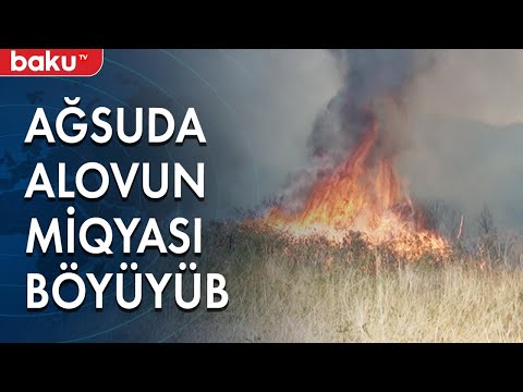 Video: Xamovnikidəki Yanğına Səbəb Olan Nədir