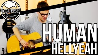Hellyeah - Human | Acoustic Instrumental Cover